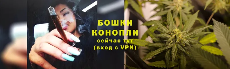 Каннабис ГИДРОПОН  Кологрив 